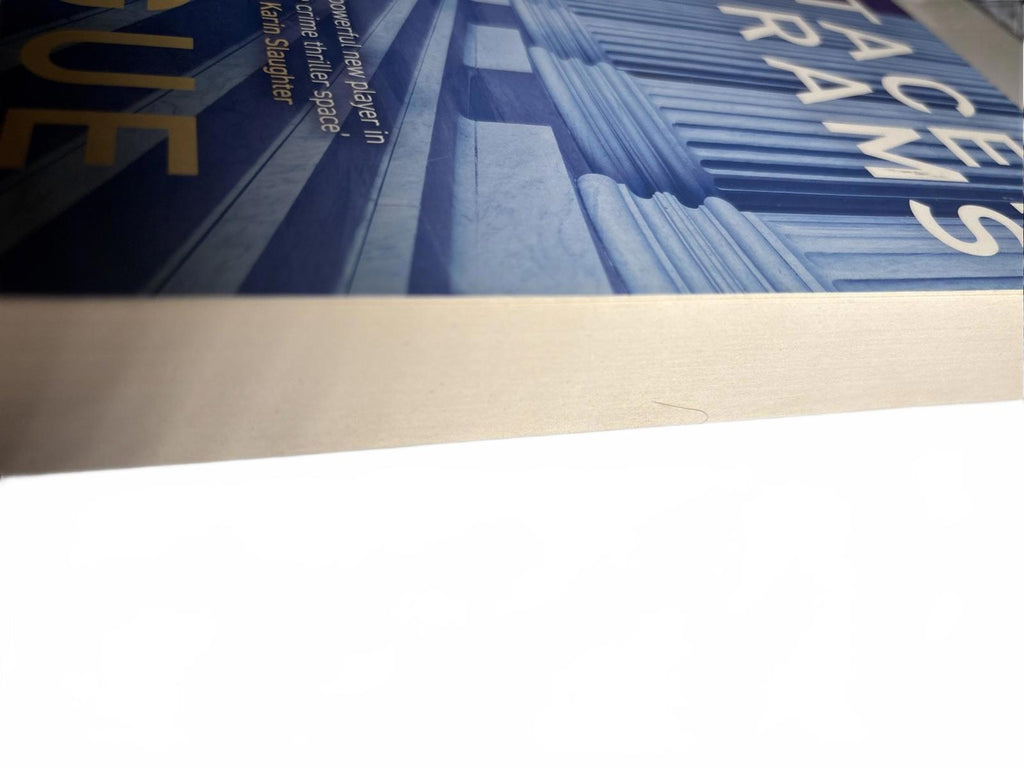 Rogue Justice by Stacey Abrams (English) Paperback Book - Come Sell Nearly Anything