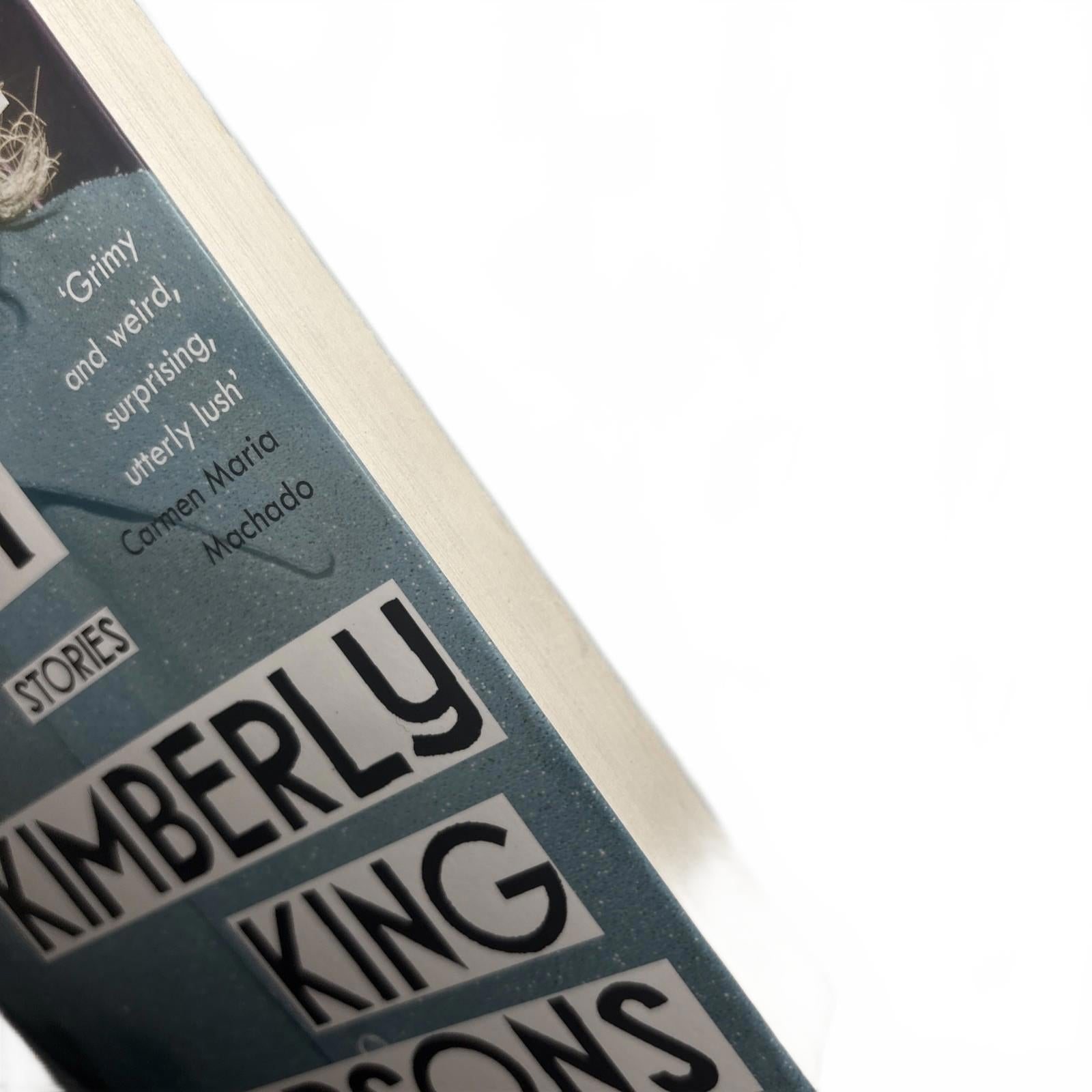 Black Light by Kimberly King Parsons (English) Paperback Book - Come Sell Nearly Anything