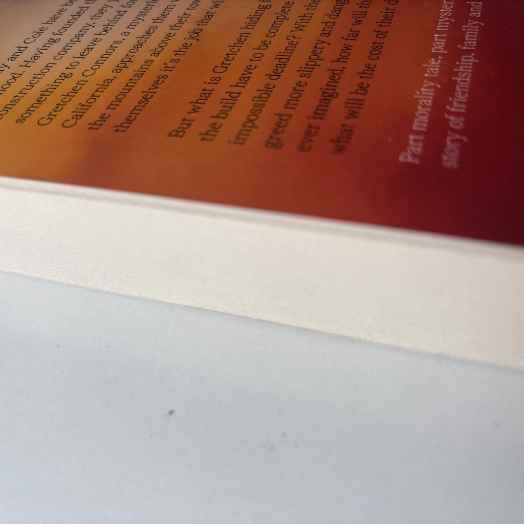 Godspeed by Nickolas Butler (PB23) THRILLER paperback BOOK ISBN 9780571362967 - Come Sell Nearly Anything