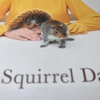 My Squirrel Days by Ellie Kemper Paperback Book Biography Memoir Entertainment - Come Sell Nearly Anything