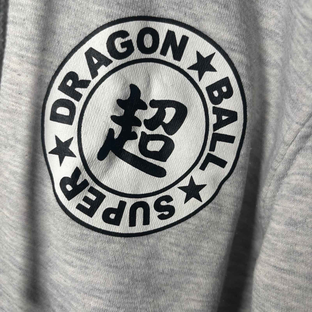 Dragon Ball Z Super Jumper Big Decal Size Good Condition XS