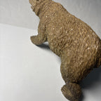 Grisly Bear Model Figure PVC Bear Figurine Kids Collectable Wild Life Toy