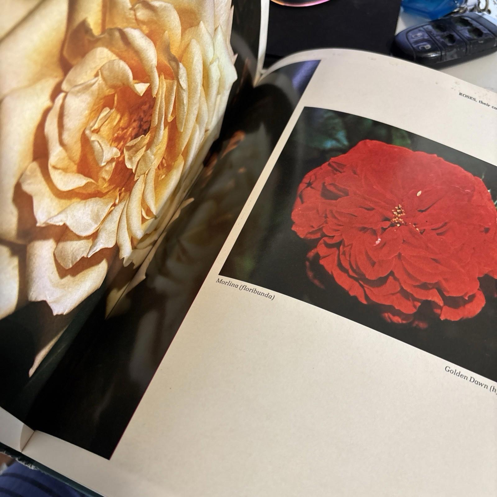 Roses Their Colorful Kin And Friends Hardcover Gardening Book Flowers 1978 dama - Come Sell Nearly Anything