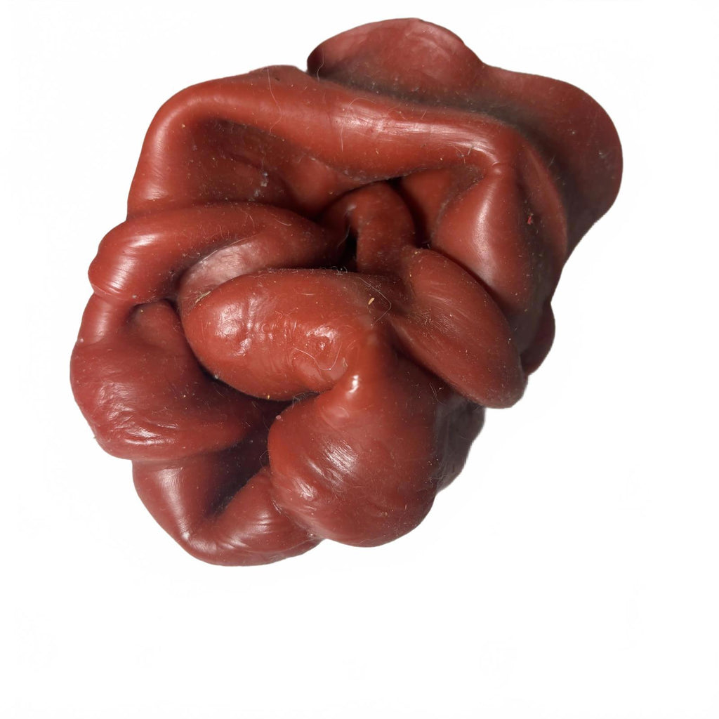 T-Rex Dragon Puppet Hand Rubber Realistic Textured Foluck 5.5 Inch