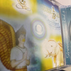 Chamras Saewataporn ‎– Nirvana - Green Music Vol. 8 (CD Card Sleeve 2003)