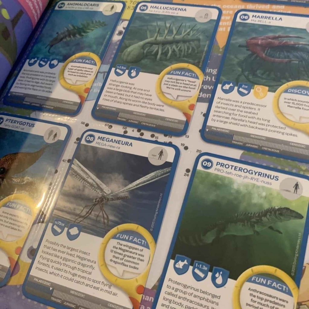 Woolworths Ancient Animals Activities And Collector's Album Complete Full Set.