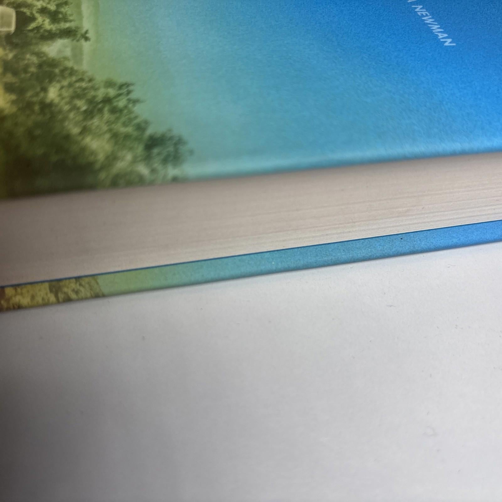 Under the Blue: Shortlisted for the 2023 ASLE-UKI ... by Aristide, Oana Hardback - Come Sell Nearly Anything