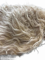 Bandanas with Attitude One Size Skull Print Hair Accessory