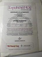 Signed Socceroos Sydney FC 28cm x 18cm Photo - Brett Emerton - Proof COA