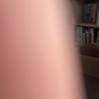 Grisly Bear Model Figure PVC Bear Figurine Kids Collectable Wild Life Toy