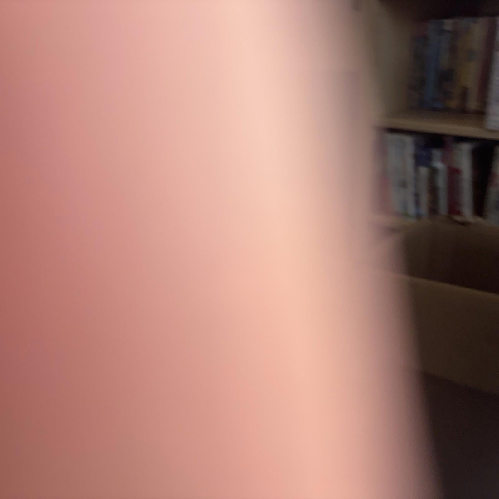 Grisly Bear Model Figure PVC Bear Figurine Kids Collectable Wild Life Toy