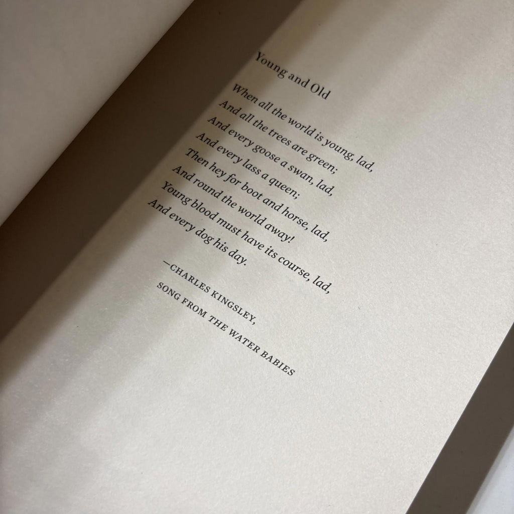 Travel Light, Move Fast by Alexandra Fuller (Paperback, 2019) Tim Fuller Tribute - Come Sell Nearly Anything