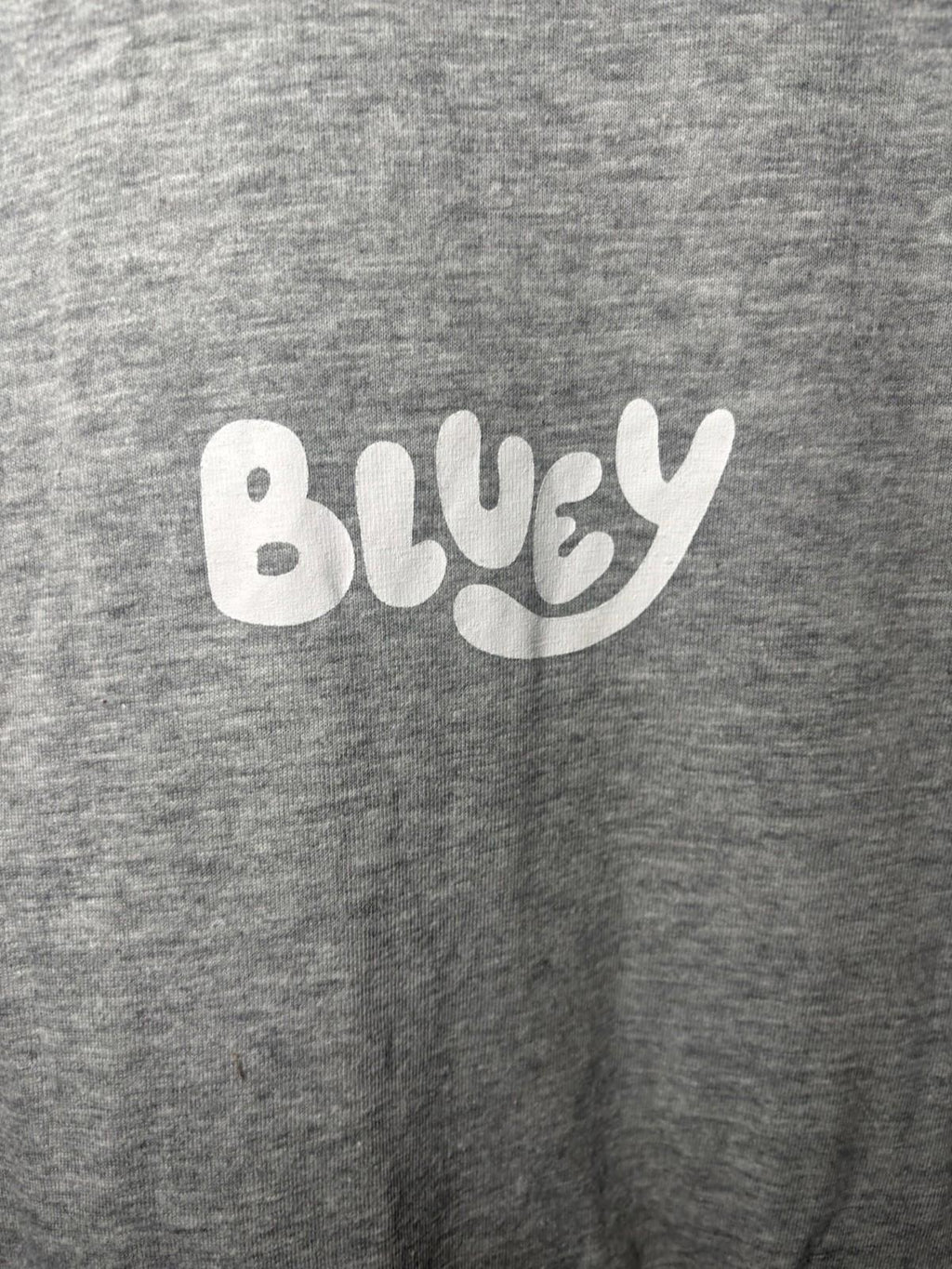 Bluey Large Grey Graphic T-Shirt Menswear Cartoon Dog Print - Come Sell Nearly Anything