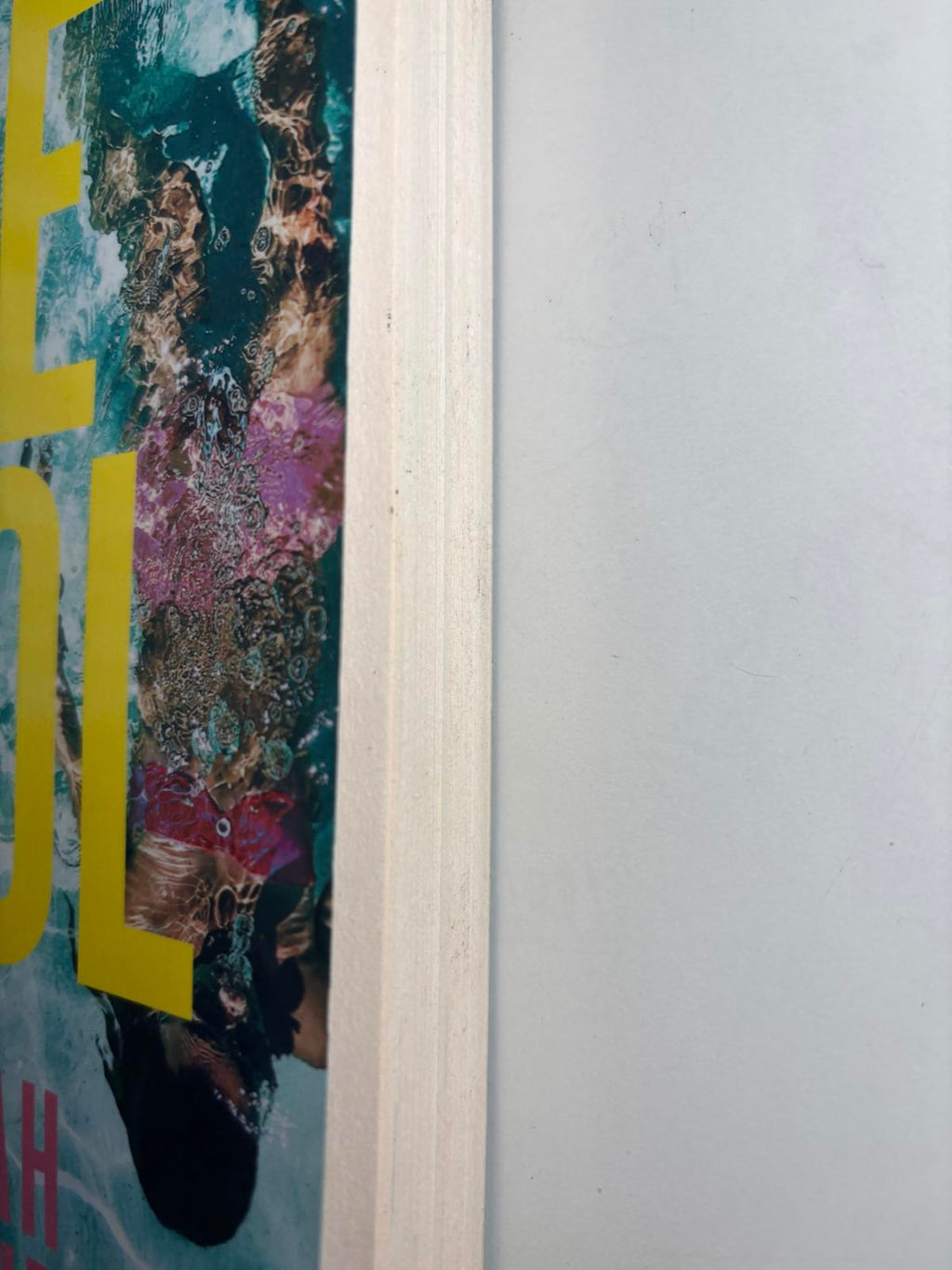 The Pool by Hannah Tunnicliffe - Mystery & Thriller Book