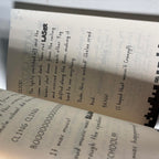 Diary of a Minecraft Zombie Book 42: The Zombie Who Cried Sheep by Zack Zombie