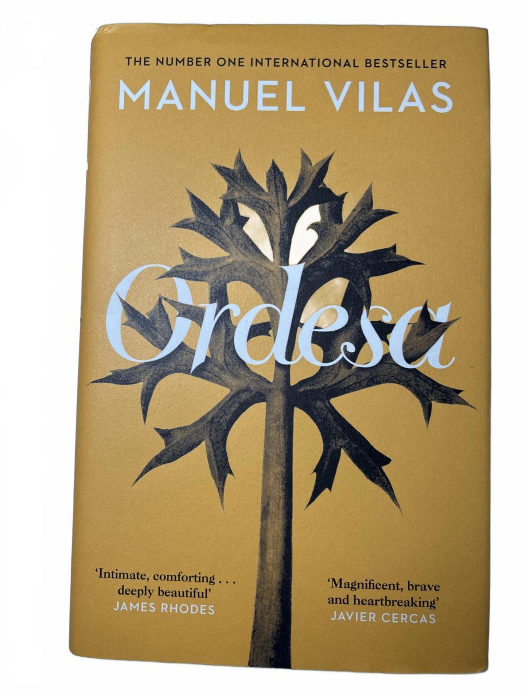 Ordesa by Manuel Vilas (English) Hardcover Book - Come Sell Nearly Anything