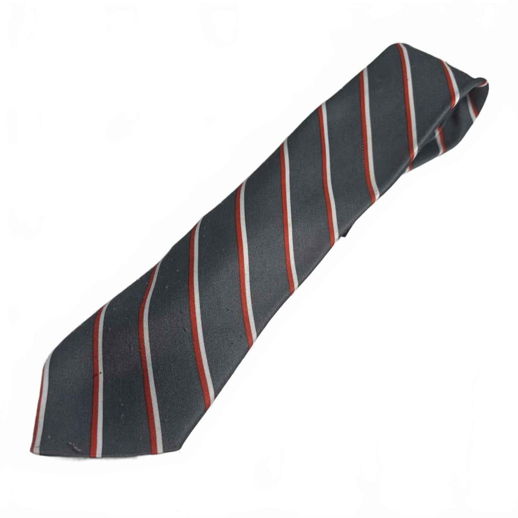 Jean Tailorlin Striped Men's Tie Donald Trump Pattern