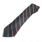 Jean Tailorlin Striped Men's Tie Donald Trump Pattern
