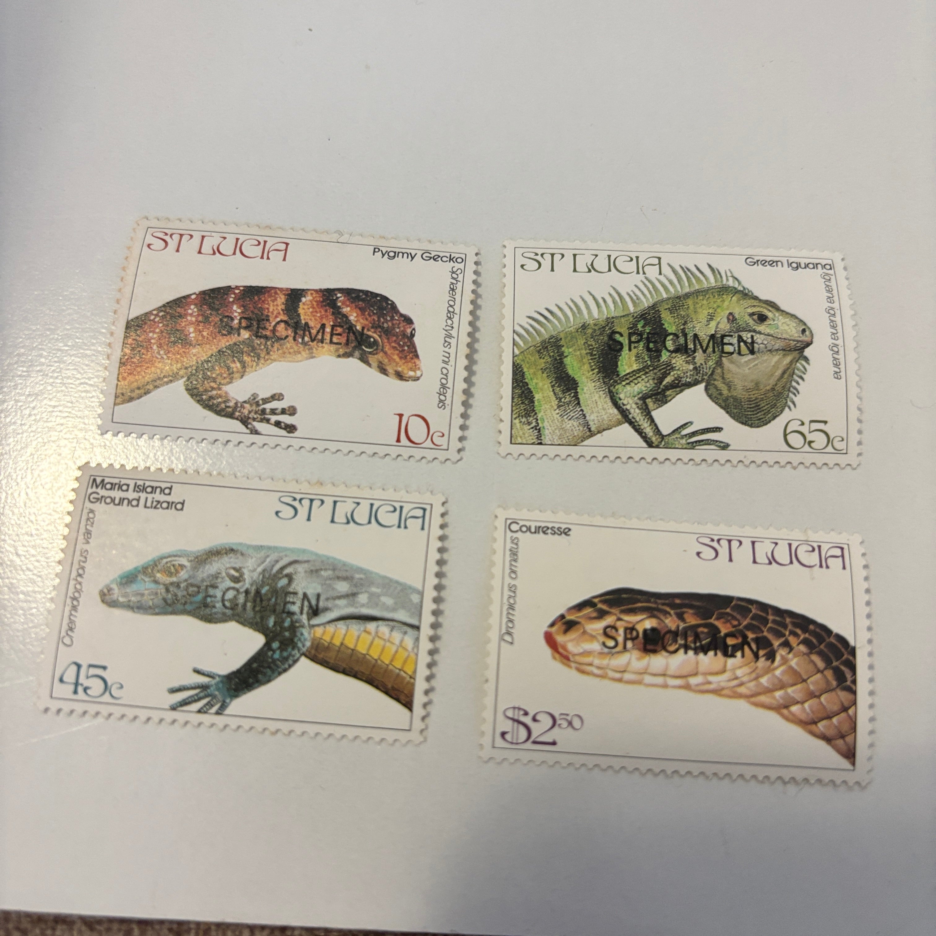St. Lucia – Reptiles – Specimen (1980)
10c, 65c, $2.50