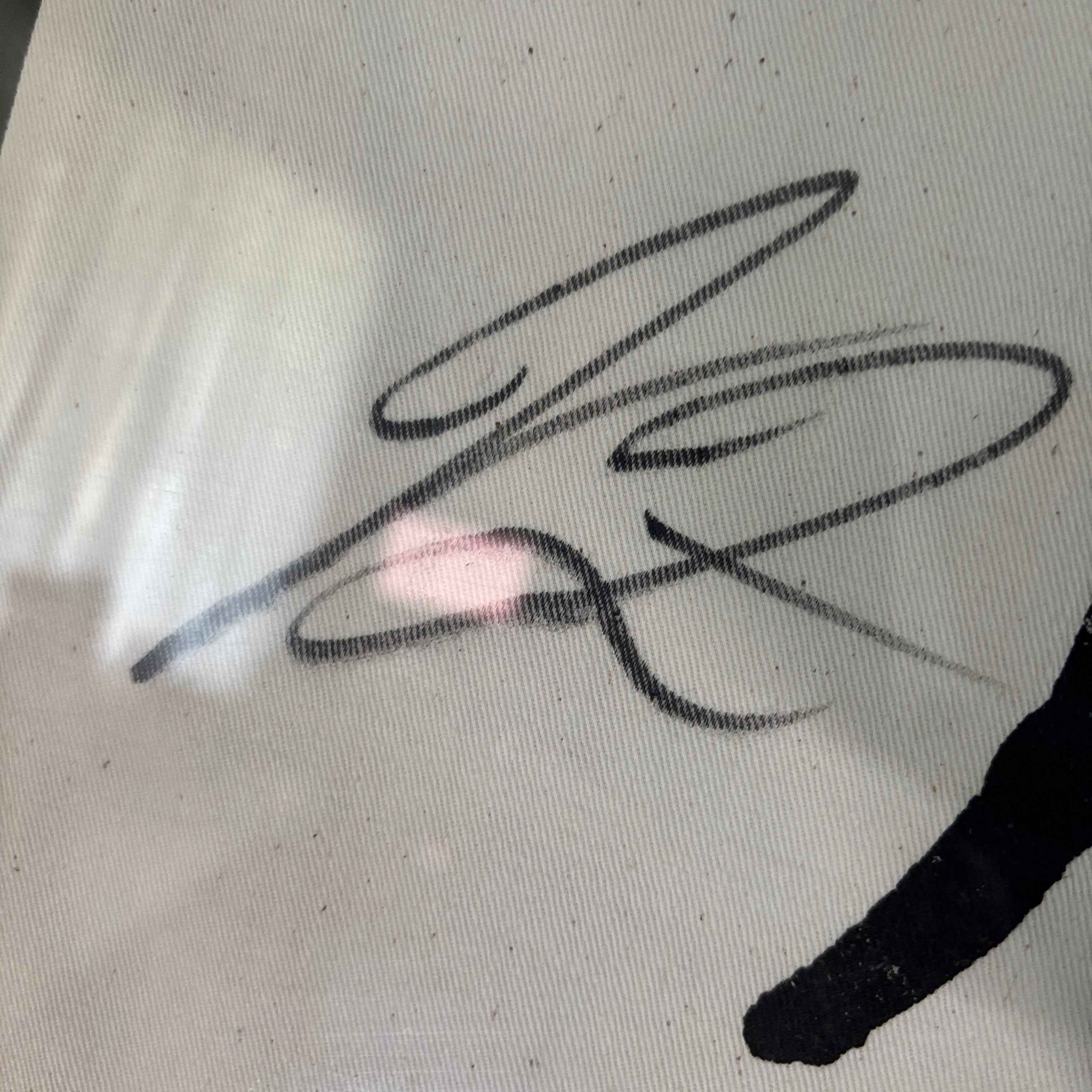 Framed The Kings of Leon Signed Brisbane Concert Poster by Daymon Greulich & Band Items 1.3m Wide