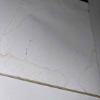 Tweety Taz And Bugs Bunny Sticker Book By Looney Tunes