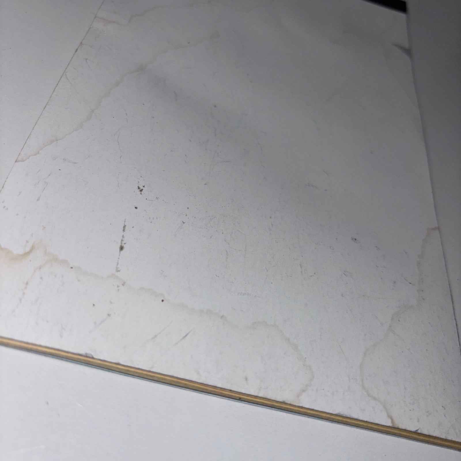 Tweety Taz And Bugs Bunny Sticker Book By Looney Tunes