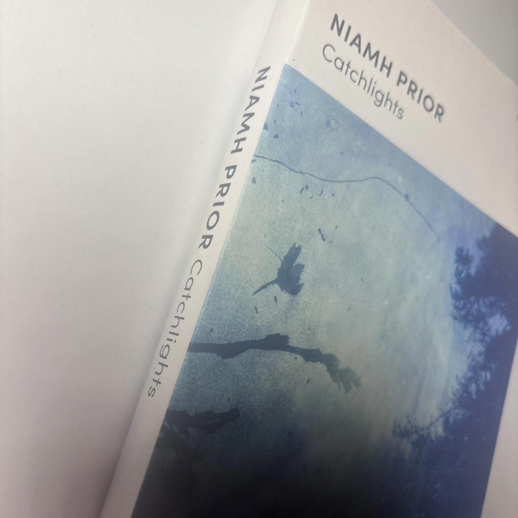 Catchlights by Niamh Prior (English) Paperback Book - Come Sell Nearly Anything