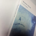 Catchlights by Niamh Prior (English) Paperback Book - Come Sell Nearly Anything