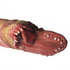 T-Rex Dragon Puppet Hand Rubber Realistic Textured Foluck 5.5 Inch