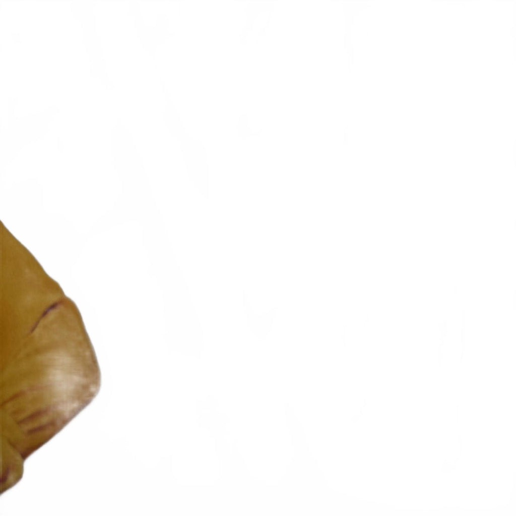 My Squirrel Days by Ellie Kemper Paperback Book Biography Memoir Entertainment - Come Sell Nearly Anything