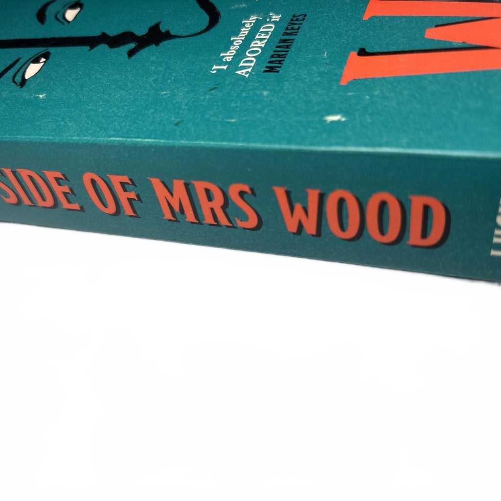 The Other Side of Mrs Wood by Lucy Barker Paperback Novel Spritualism 1870s - Come Sell Nearly Anything