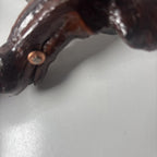 Vintage Australian Grapevine Wine Bottle Opener