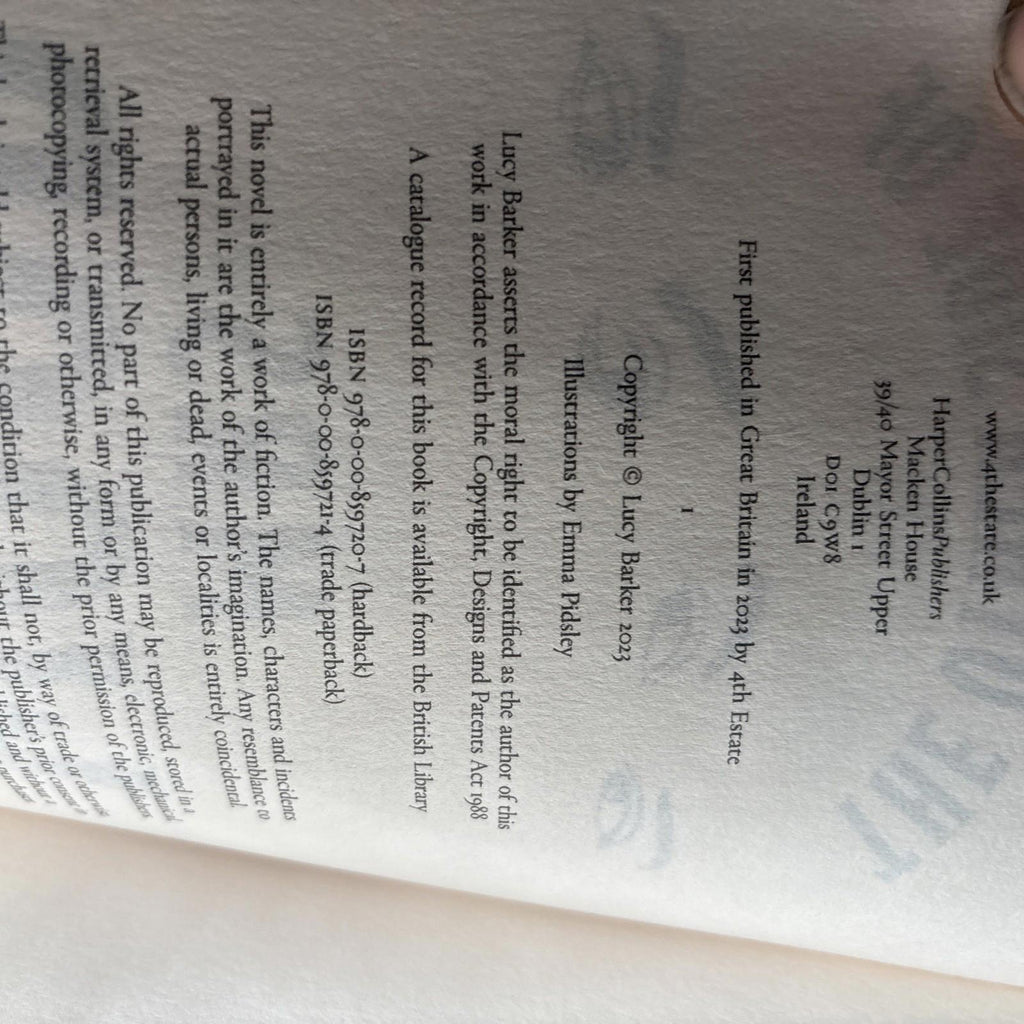 The Other Side of Mrs Wood by Lucy Barker Paperback Novel Spritualism 1870s - Come Sell Nearly Anything