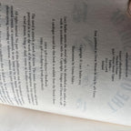 The Other Side of Mrs Wood by Lucy Barker Paperback Novel Spritualism 1870s - Come Sell Nearly Anything