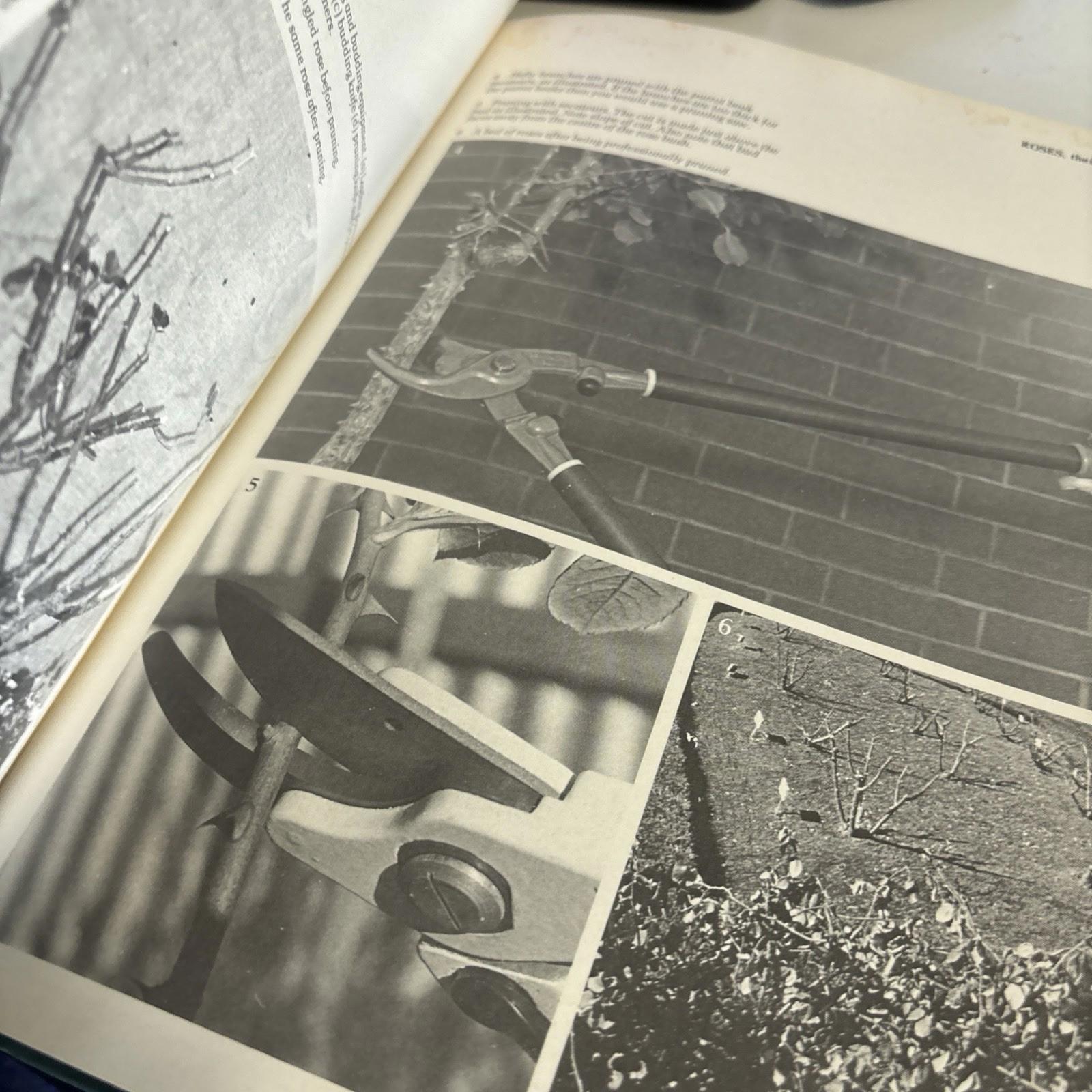 Roses Their Colorful Kin And Friends Hardcover Gardening Book Flowers 1978 dama - Come Sell Nearly Anything