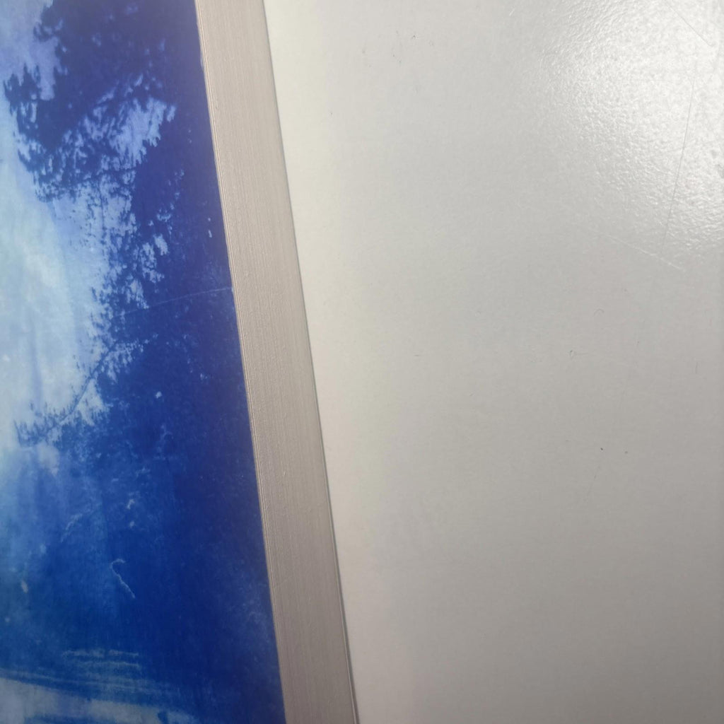 Catchlights by Niamh Prior (English) Paperback Book - Come Sell Nearly Anything